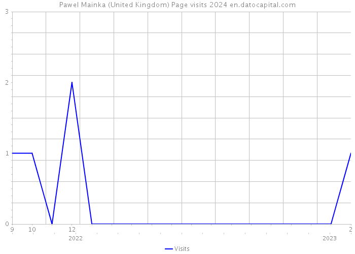 Pawel Mainka (United Kingdom) Page visits 2024 
