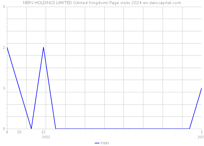 NERV HOLDINGS LIMITED (United Kingdom) Page visits 2024 