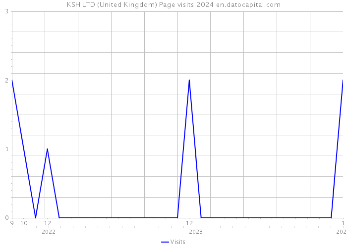 KSH LTD (United Kingdom) Page visits 2024 