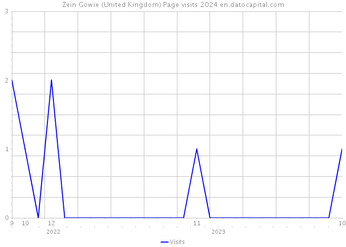 Zein Gowie (United Kingdom) Page visits 2024 