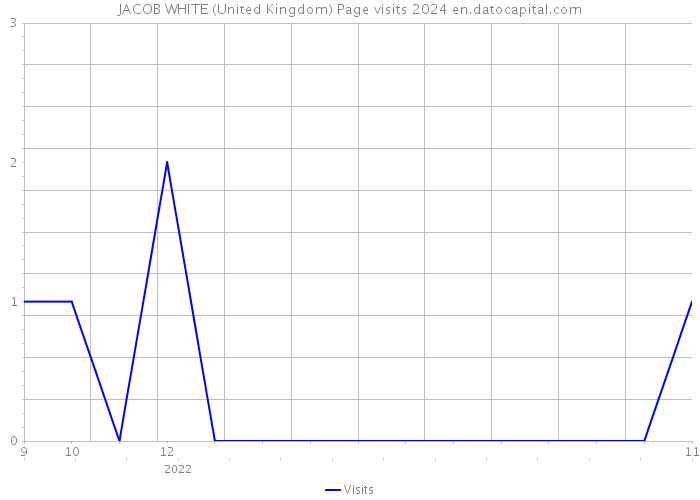 JACOB WHITE (United Kingdom) Page visits 2024 