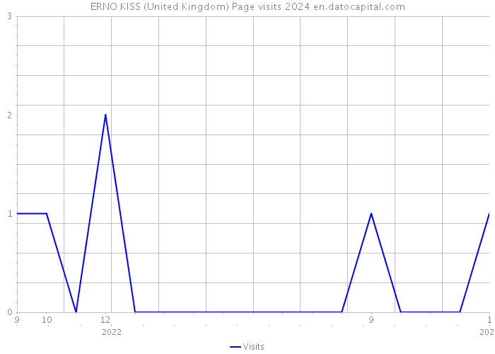 ERNO KISS (United Kingdom) Page visits 2024 