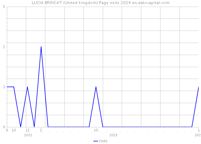 LUCIA BRINCAT (United Kingdom) Page visits 2024 