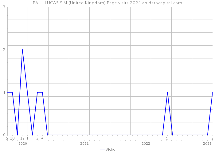 PAUL LUCAS SIM (United Kingdom) Page visits 2024 