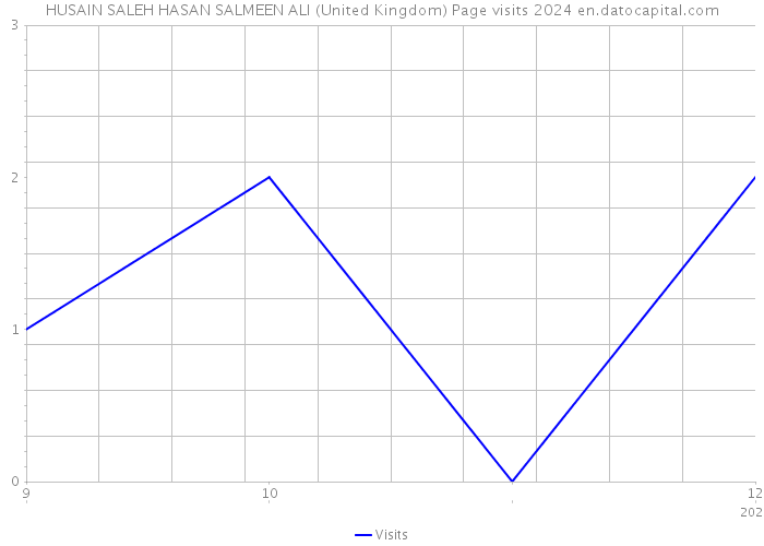 HUSAIN SALEH HASAN SALMEEN ALI (United Kingdom) Page visits 2024 