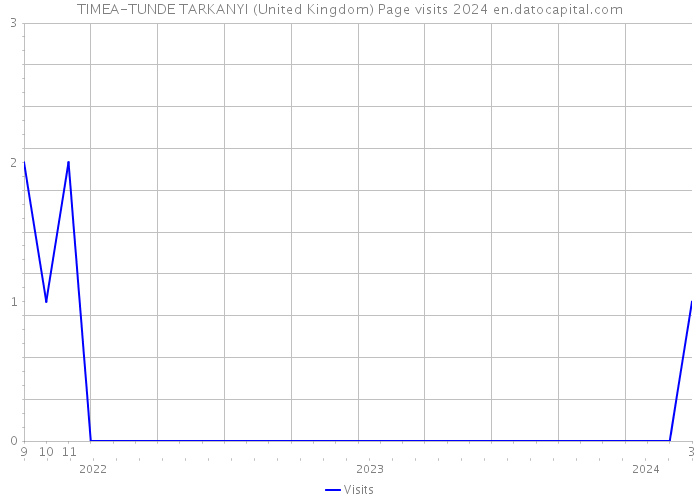 TIMEA-TUNDE TARKANYI (United Kingdom) Page visits 2024 