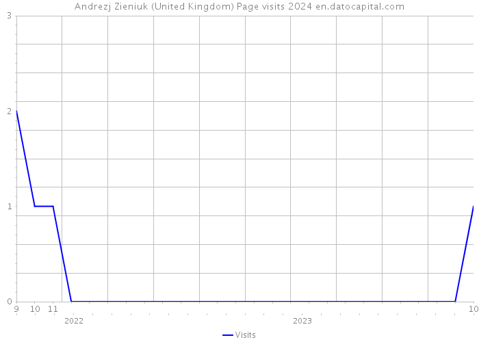 Andrezj Zieniuk (United Kingdom) Page visits 2024 