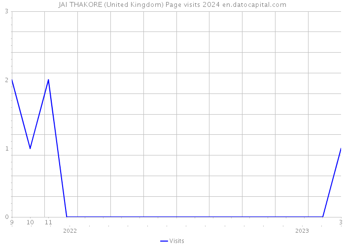 JAI THAKORE (United Kingdom) Page visits 2024 