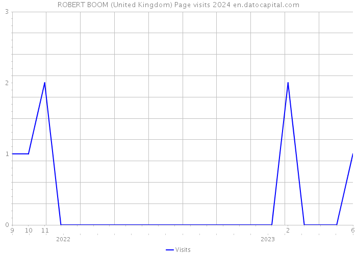 ROBERT BOOM (United Kingdom) Page visits 2024 