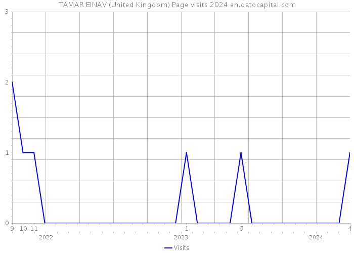 TAMAR EINAV (United Kingdom) Page visits 2024 
