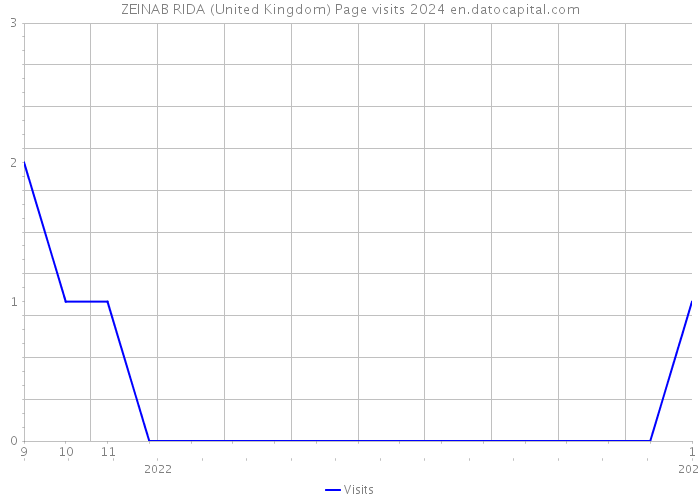ZEINAB RIDA (United Kingdom) Page visits 2024 