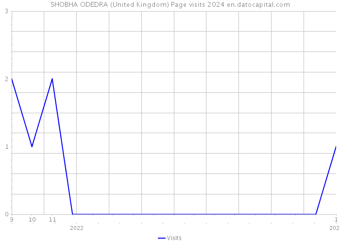 SHOBHA ODEDRA (United Kingdom) Page visits 2024 