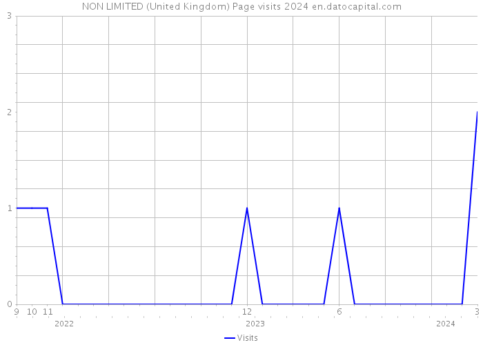 NON LIMITED (United Kingdom) Page visits 2024 