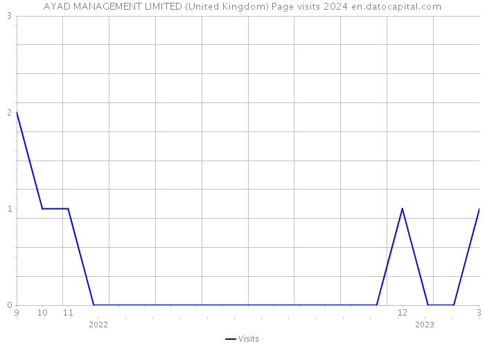 AYAD MANAGEMENT LIMITED (United Kingdom) Page visits 2024 