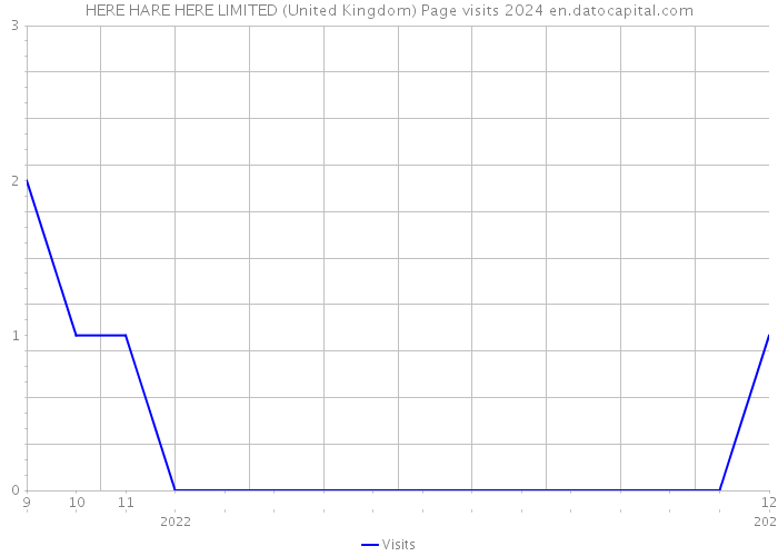 HERE HARE HERE LIMITED (United Kingdom) Page visits 2024 
