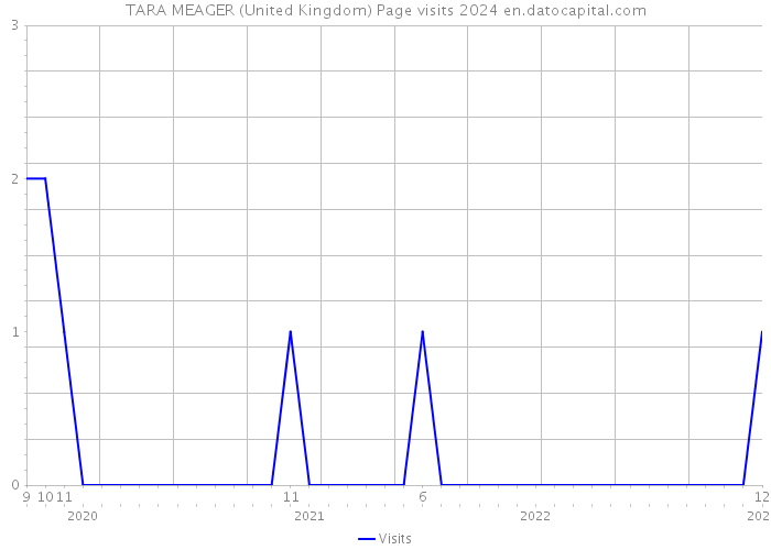 TARA MEAGER (United Kingdom) Page visits 2024 