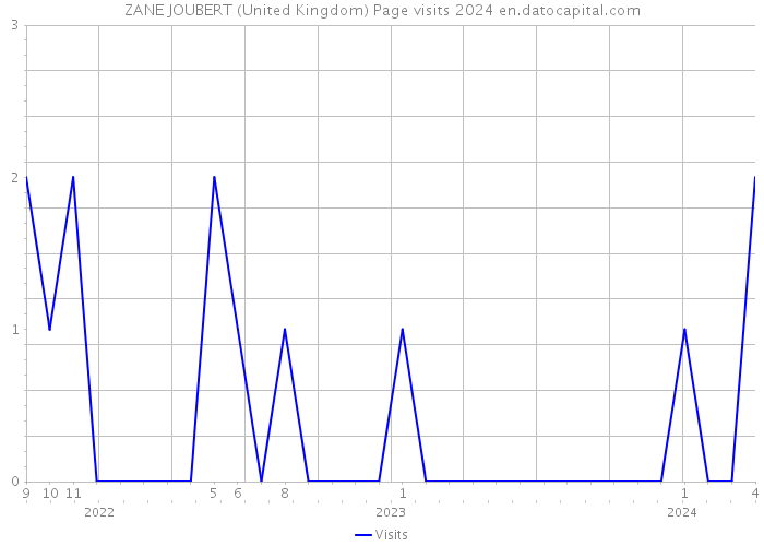 ZANE JOUBERT (United Kingdom) Page visits 2024 