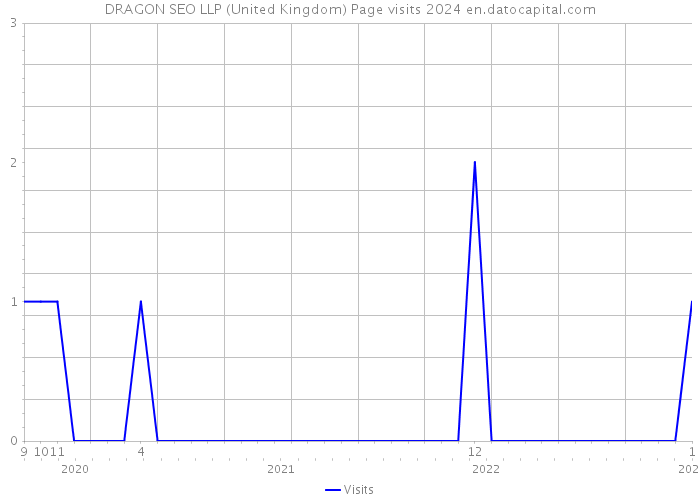 DRAGON SEO LLP (United Kingdom) Page visits 2024 