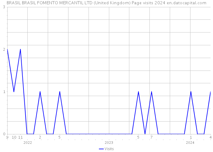 BRASIL BRASIL FOMENTO MERCANTIL LTD (United Kingdom) Page visits 2024 