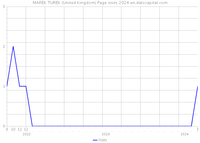 MAREK TUREK (United Kingdom) Page visits 2024 