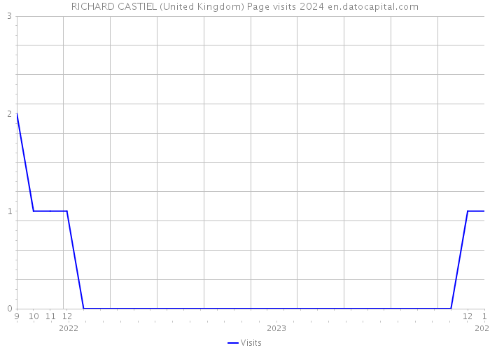 RICHARD CASTIEL (United Kingdom) Page visits 2024 