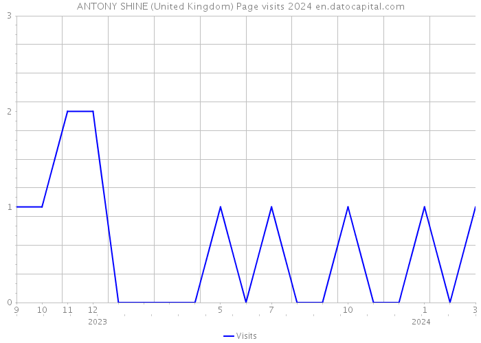 ANTONY SHINE (United Kingdom) Page visits 2024 