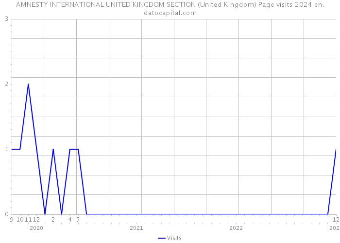 AMNESTY INTERNATIONAL UNITED KINGDOM SECTION (United Kingdom) Page visits 2024 