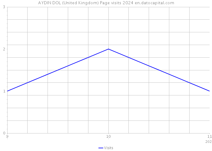 AYDIN DOL (United Kingdom) Page visits 2024 