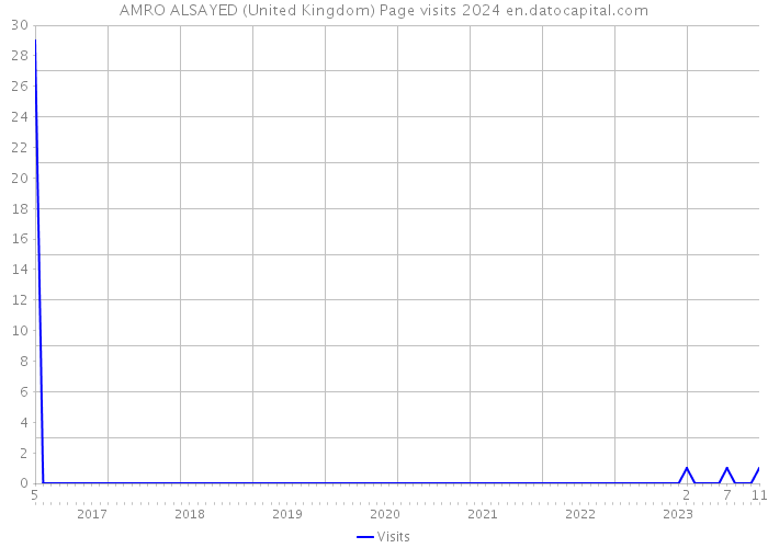 AMRO ALSAYED (United Kingdom) Page visits 2024 