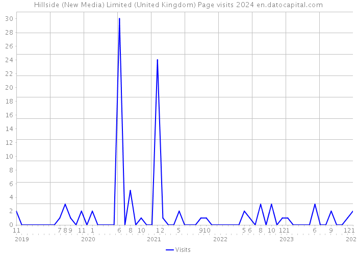 Hillside (New Media) Limited (United Kingdom) Page visits 2024 