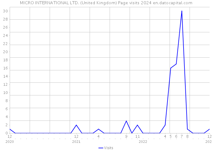 MICRO INTERNATIONAL LTD. (United Kingdom) Page visits 2024 