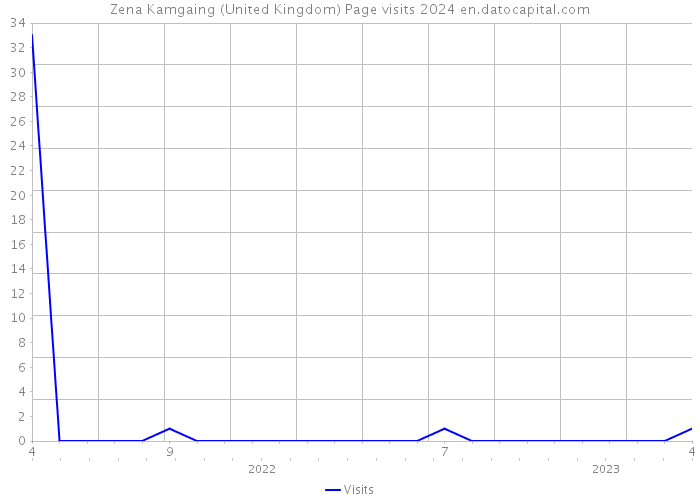 Zena Kamgaing (United Kingdom) Page visits 2024 