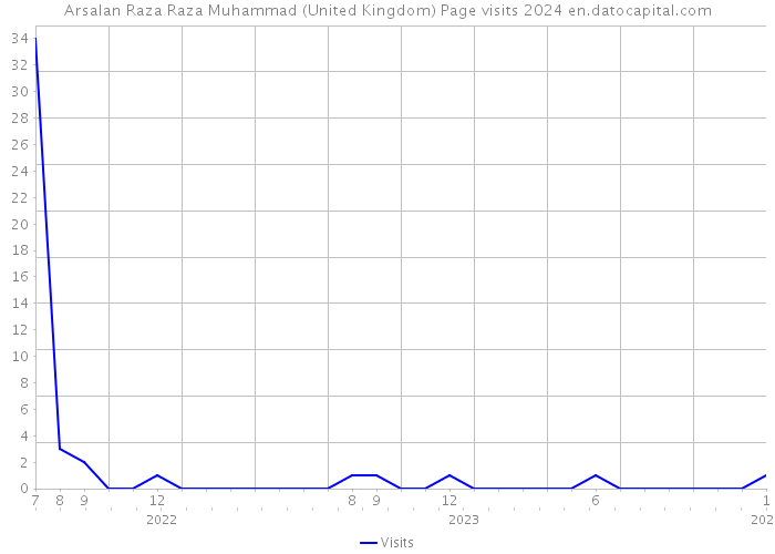 Arsalan Raza Raza Muhammad (United Kingdom) Page visits 2024 