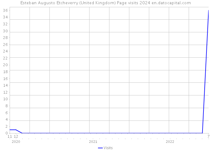 Esteban Augusto Etcheverry (United Kingdom) Page visits 2024 