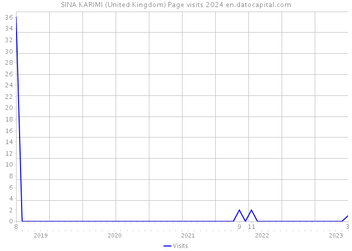 SINA KARIMI (United Kingdom) Page visits 2024 
