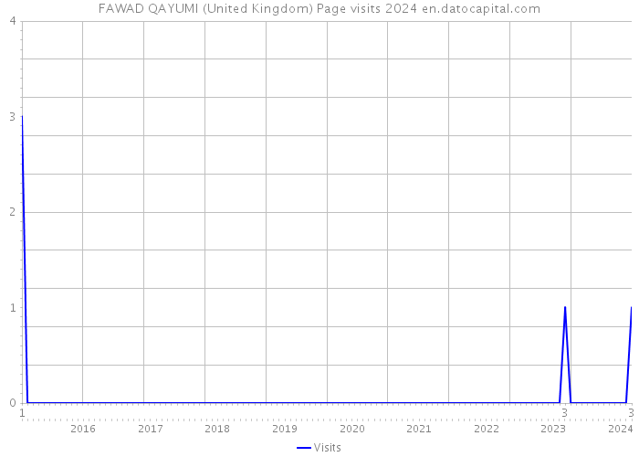 FAWAD QAYUMI (United Kingdom) Page visits 2024 