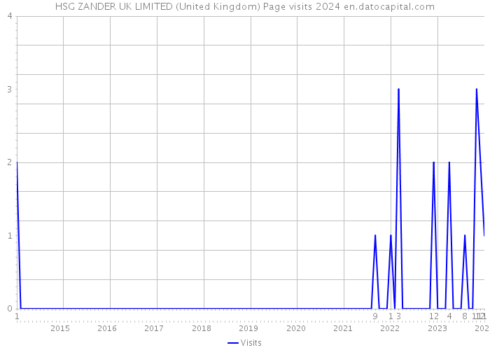 HSG ZANDER UK LIMITED (United Kingdom) Page visits 2024 