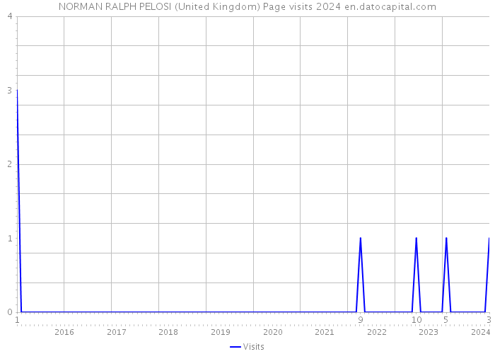 NORMAN RALPH PELOSI (United Kingdom) Page visits 2024 