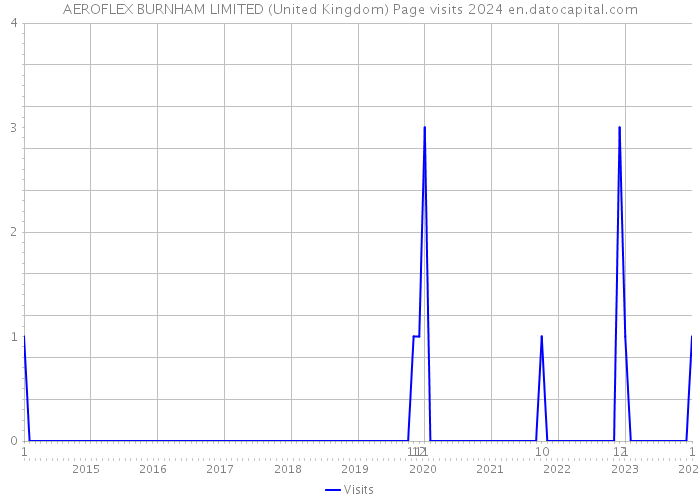 AEROFLEX BURNHAM LIMITED (United Kingdom) Page visits 2024 