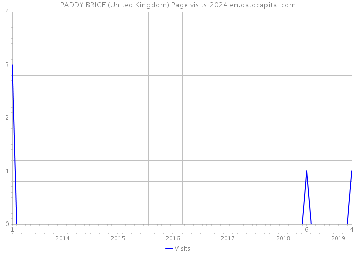 PADDY BRICE (United Kingdom) Page visits 2024 
