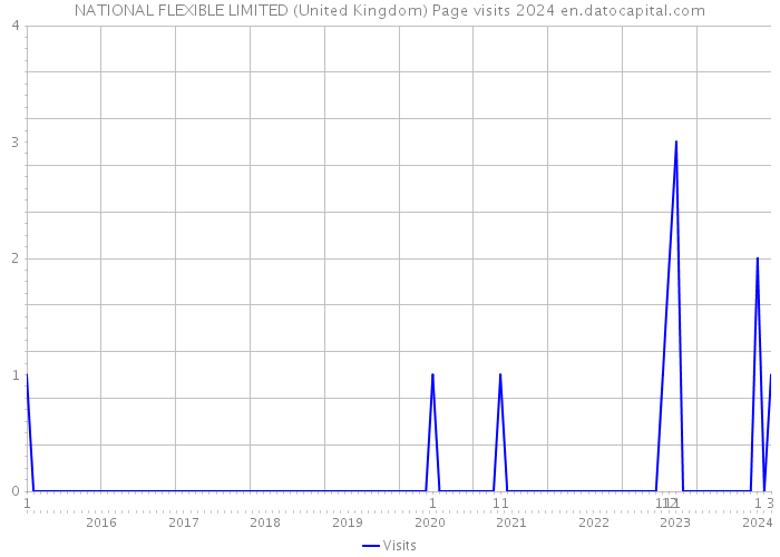 NATIONAL FLEXIBLE LIMITED (United Kingdom) Page visits 2024 