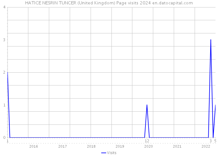 HATICE NESRIN TUNCER (United Kingdom) Page visits 2024 