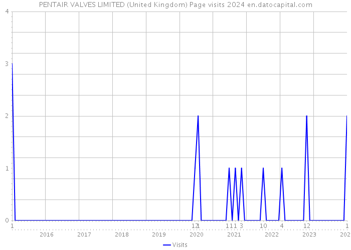PENTAIR VALVES LIMITED (United Kingdom) Page visits 2024 