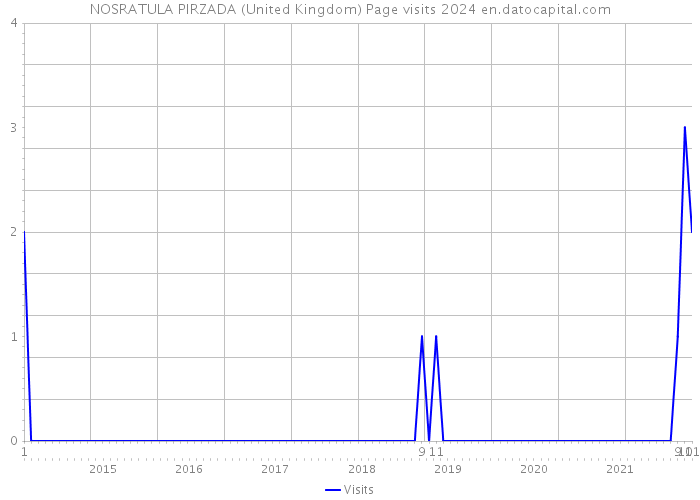 NOSRATULA PIRZADA (United Kingdom) Page visits 2024 