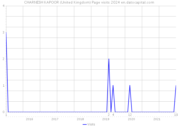 CHARNESH KAPOOR (United Kingdom) Page visits 2024 