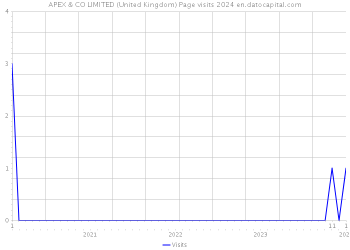 APEX & CO LIMITED (United Kingdom) Page visits 2024 