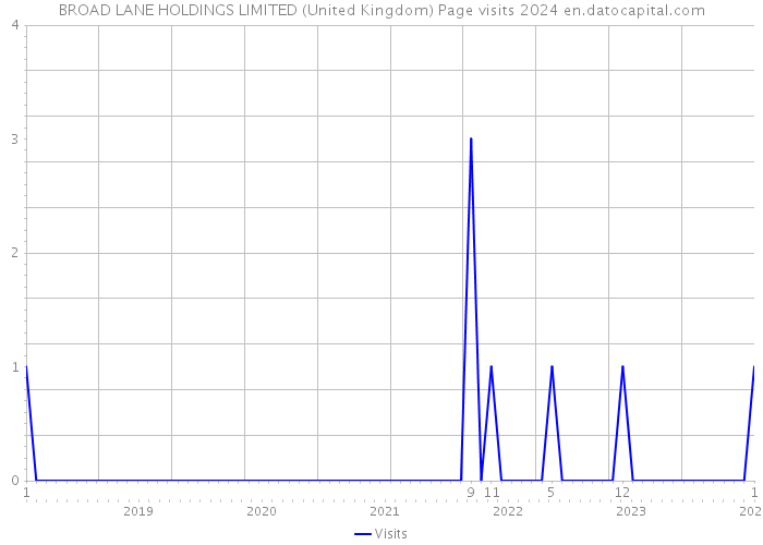 BROAD LANE HOLDINGS LIMITED (United Kingdom) Page visits 2024 