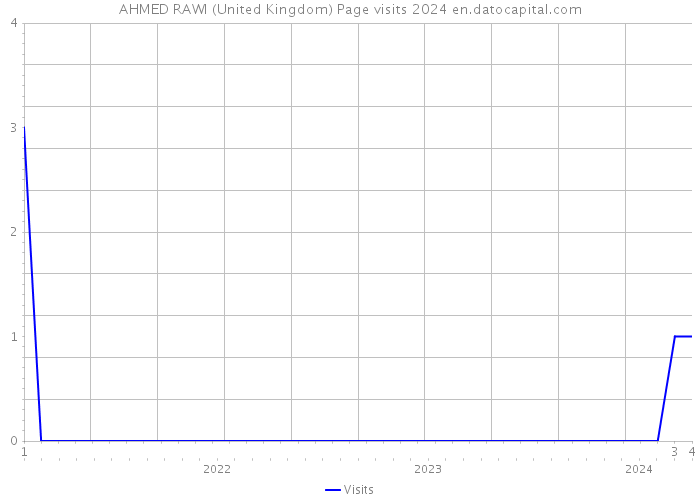 AHMED RAWI (United Kingdom) Page visits 2024 