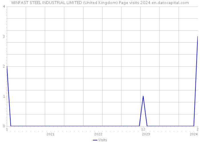 WINFAST STEEL INDUSTRIAL LIMITED (United Kingdom) Page visits 2024 