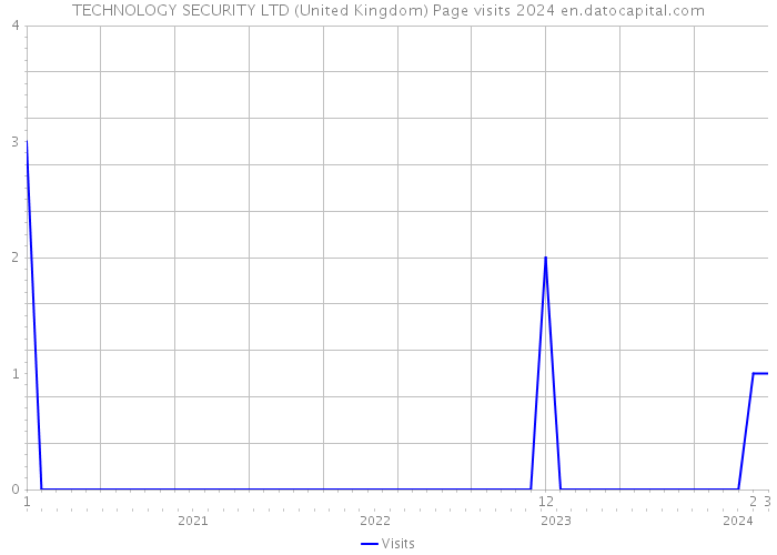 TECHNOLOGY SECURITY LTD (United Kingdom) Page visits 2024 